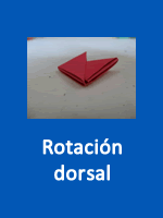 Rotación dorsal