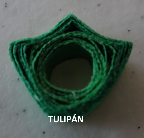Tulip&aacute;n