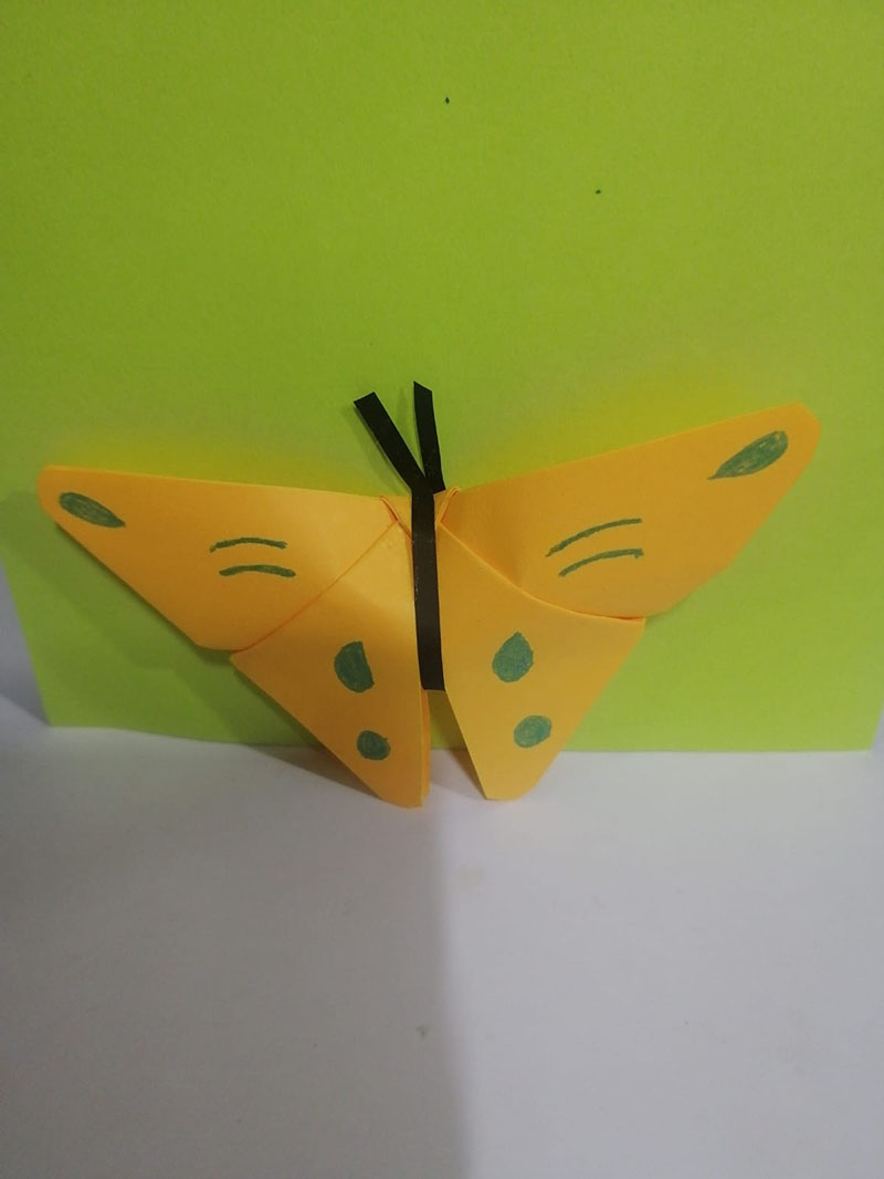 Mariposa